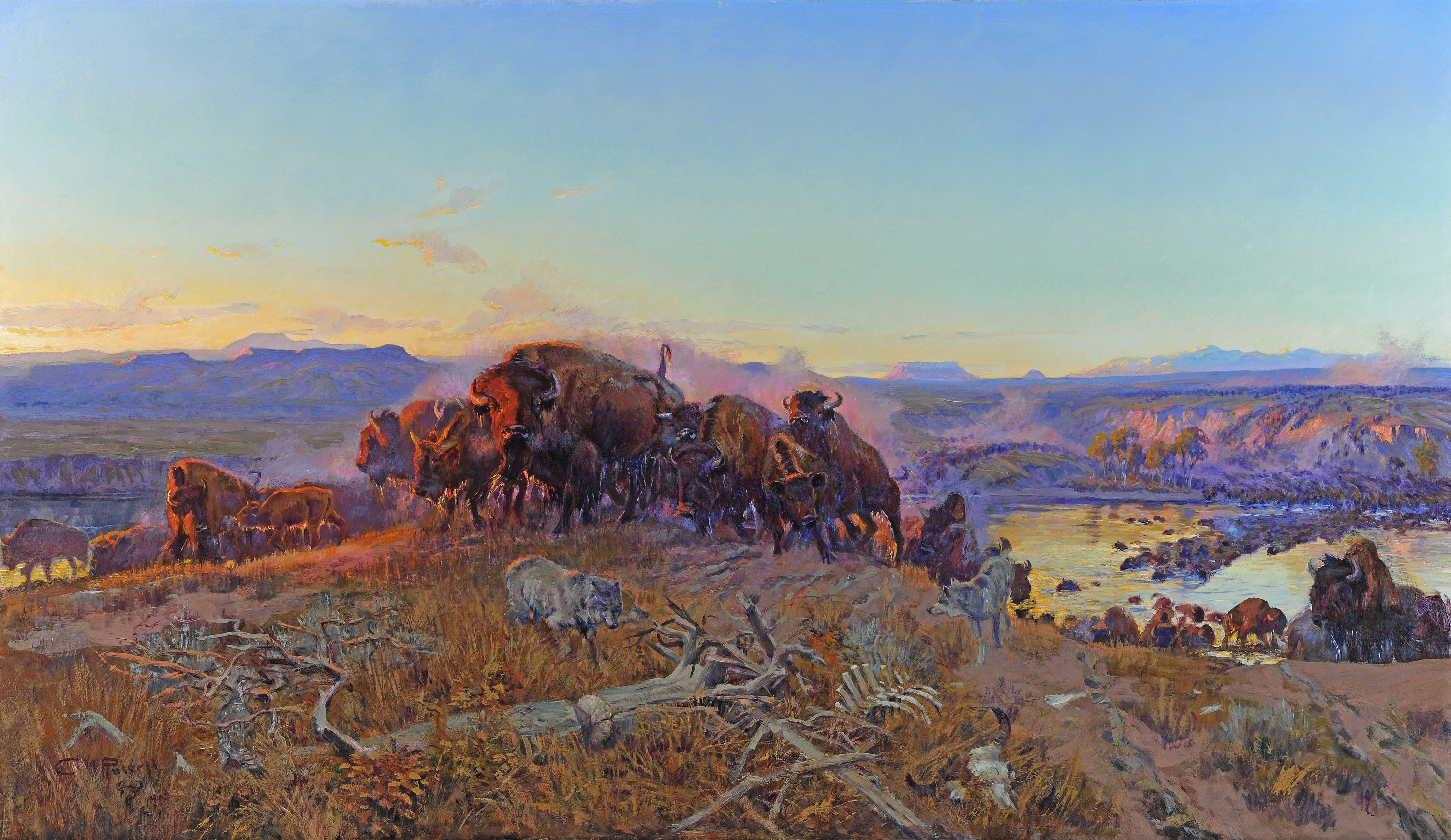 An oil painting of a herd of bison clustered at the top of a hill over a river valley; a coyote or wolf lurks in the foreground.